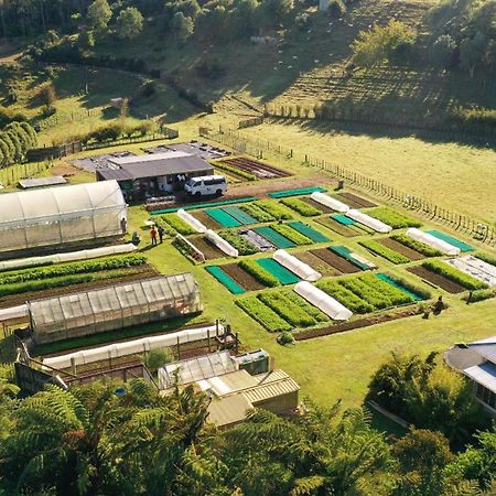 Roebuck Farm Stay New Plymouth Luaran gambar
